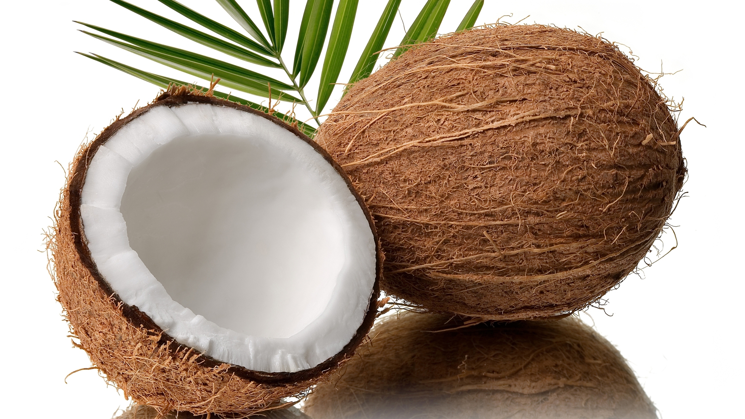 going-nuts-for-coconut-run-moore